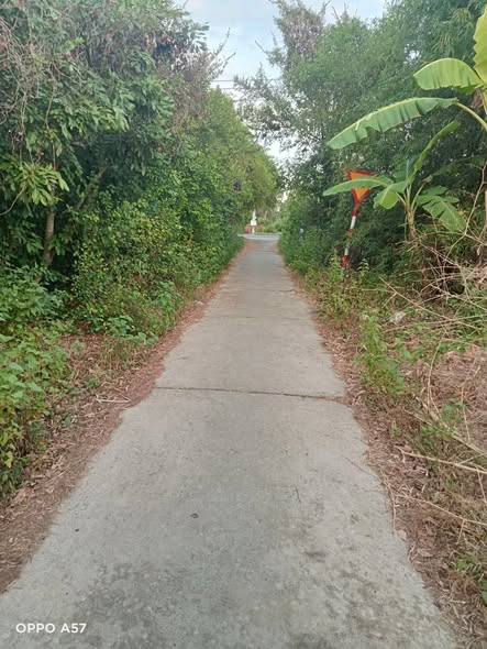 Đất nền thổ cư 1649m² tại Thạnh Trị, Bến Tre - Giá chỉ 893 triệu