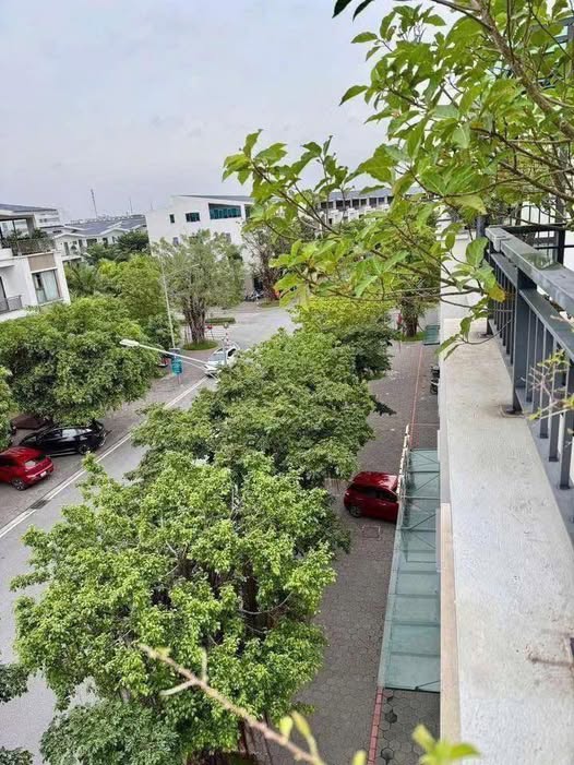 Shophouse đường Hải An, Ecopark Hải Dương 95m² giá 9 tỷ - Vị trí kinh doanh đắc địa!
