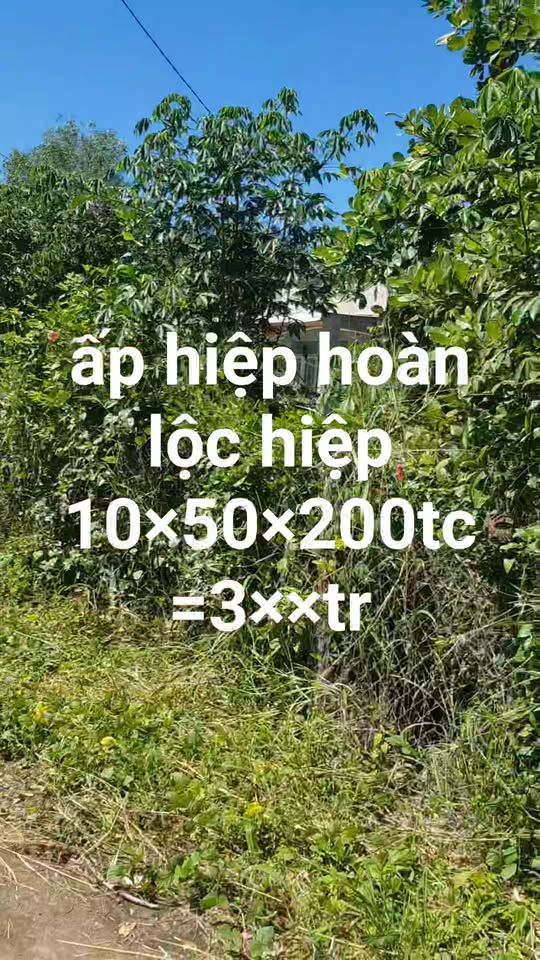 Đất nền Lộc Hiệp, Lộc Ninh 500m² - Vị trí đắc địa, giá thỏa thuận!