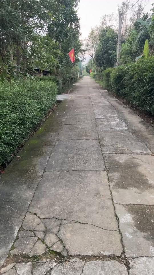 Đất thổ cư Hương Đô, Hương Khê 204m² giá chỉ 70 triệu - Cơ hội đầu tư tuyệt vời!