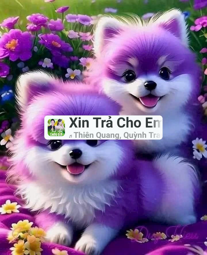 Đất SKC tại Bình Mỹ, Củ Chi 26.400m² giá 74 tỷ - Thế đất vuông vức, giá cả thương lượng tốt nhất!