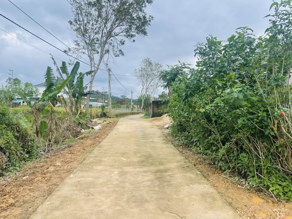 Đất nền xóm 4, xã Kỳ Tân, 480m² giá chỉ 600 triệu - Cơ hội đầu tư tốt!