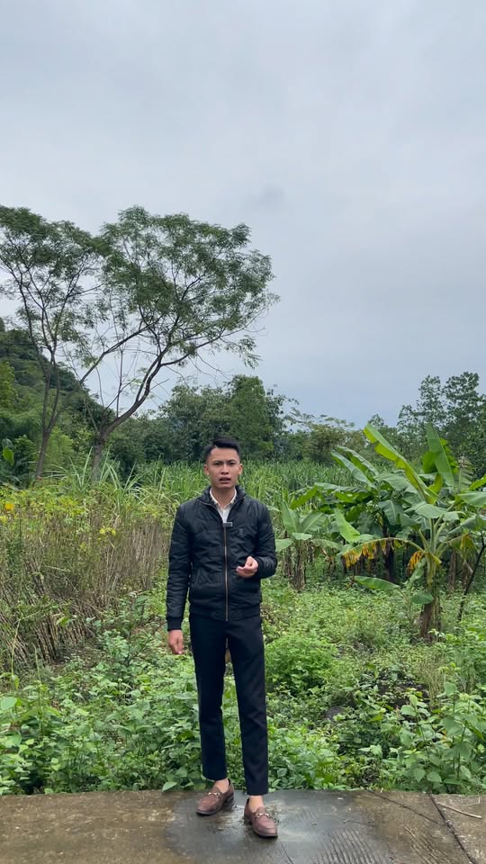 Đất nền Đa Phúc Yên Thủy 300m² giá 400 triệu - Tiềm năng phát triển mạnh mẽ!