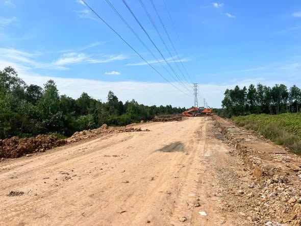 Đất mặt tiền kênh C5, xã Thạnh Lợi, Bến Lức 23.449m² - Giá 3.5 tỷ thương lượng!