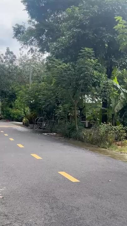 Đất nền Chánh Phú Hòa 175m² giá 1.4 tỷ - Đường nhựa 7m, sổ hồng chính chủ!