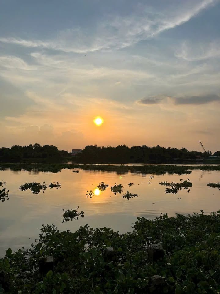 Đất nền khu phố 2, phường Bình Cơ, Tân Uyên 500m² giá 6.2 tỷ - Tiềm năng xây dựng khách sạn