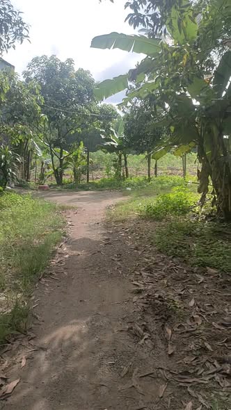 Đất nền ấp 5 An Viễn 119m² giá chỉ 350 triệu - Cơ hội đầu tư tuyệt vời!