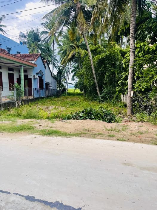 Đất nền Khu phố Tăng Long 2, Hoài Nhơn 563m² giá 1 tỷ - Tiềm năng tăng giá mạnh!