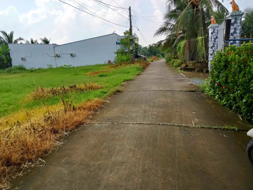 Đất nền 258m² Ấp Bình Trung Gò Công Tây - Giá chỉ 530 triệu