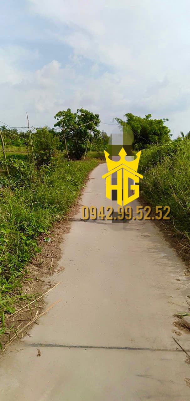 Đất vườn mặt tiền đường Trần Hoài Anh 8807m² giá 1.x tỷ - Đầu tư hấp dẫn!