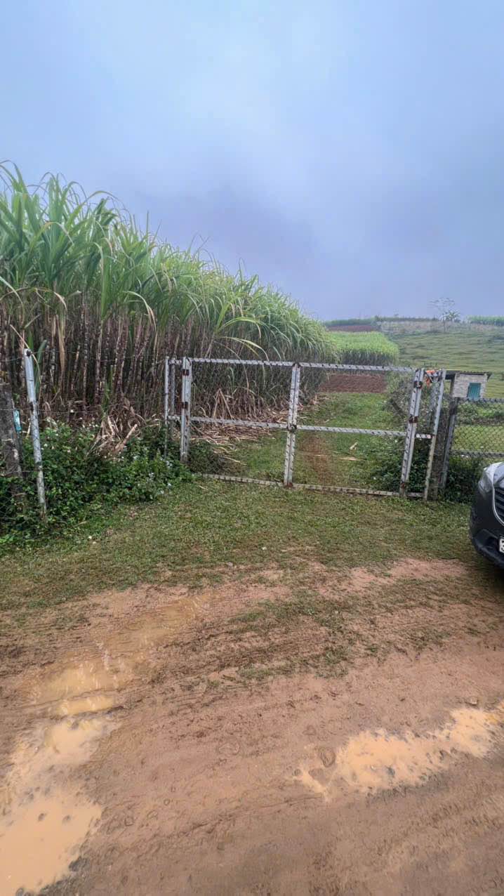 Đất Farm Hợp Phong, Cao Phong 7000m² - Cơ hội vàng cho đầu tư và nghỉ dưỡng!