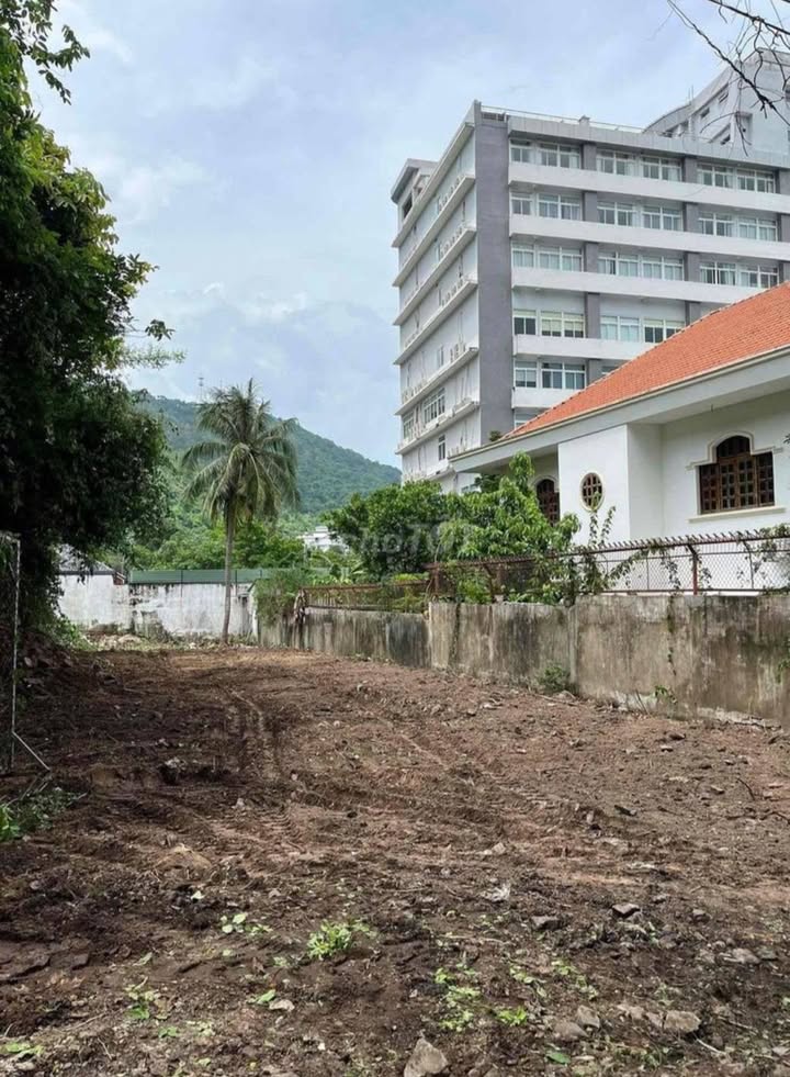 Bán đất biệt thự bãi Dâu Trần Phú Vũng Tàu 467m² giá 37.5 tỷ - Gần biển tuyệt đẹp!