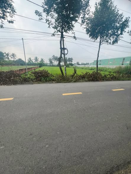 Đất nền ấp 10, xã Lương Hòa, Bến Lức 1100m² giá 6 tỷ - Tiềm năng phát triển lớn!