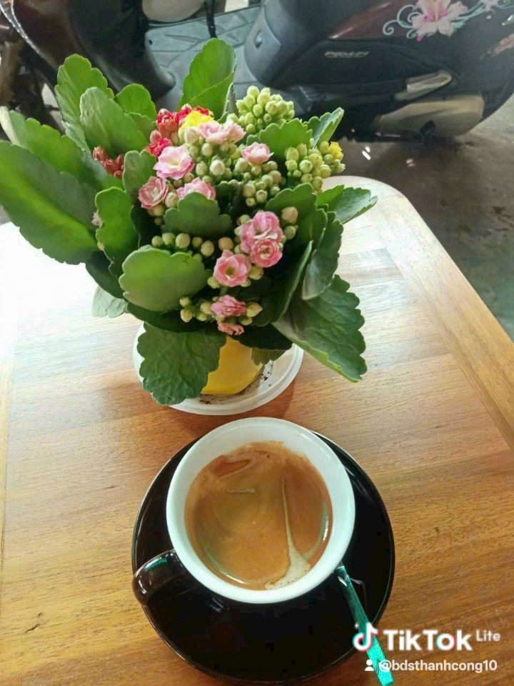 FrontHouse Hóc Môn 60m² giá 6.8 tỷ - Mặt tiền kinh doanh sầm uất!