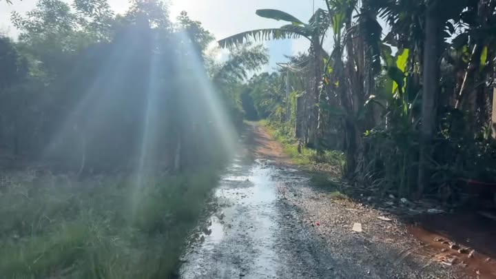 Đất thổ cư 175m² tại Lộc Trát, Gia Lộc - Giá chỉ 550 triệu VND!