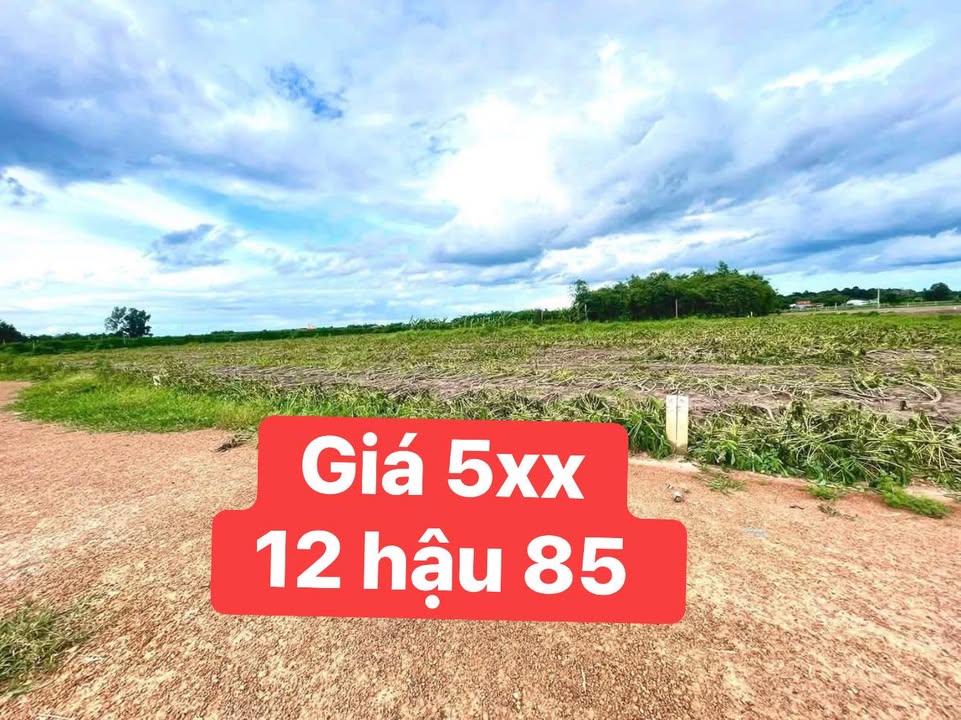 Đất nền Suối Đá Tân Châu 960m² giá 500 triệu - Cơ hội đầu tư hấp dẫn!