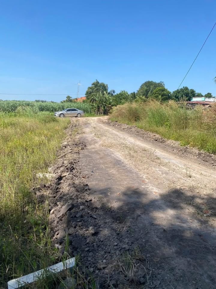 Đất nền Tân Phong, Tân Biên 200m² giá 99 triệu - Đầu tư sinh lời ngay!