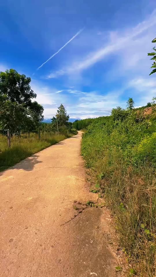 Nhà vườn Diên Lâm, Diên Khánh 4181m² giá chỉ 5 tỷ - Đầu tư sinh lời!