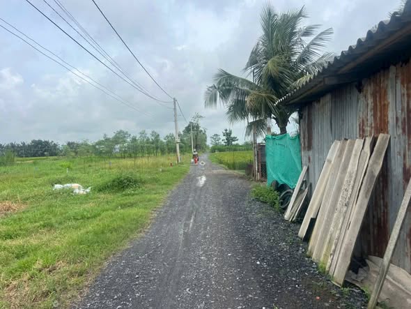 Đất nền Xóm Đen, Bình Ân, Gò Công Đông 107m² giá 250 triệu - Sổ hồng chính chủ!