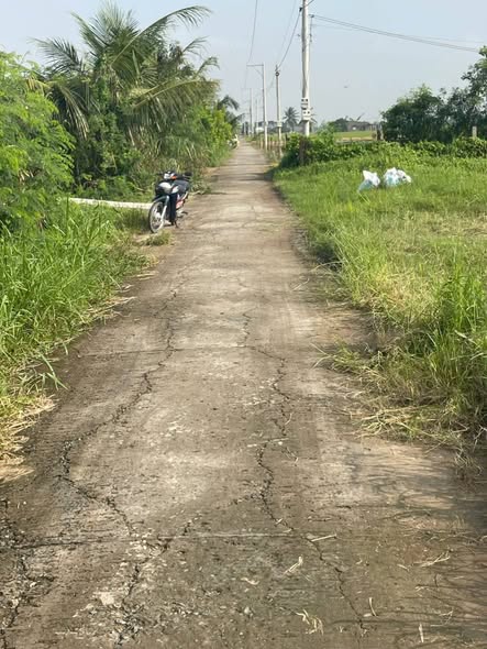 Đất thổ cư Tân Điền, Gò Công Đông 168m² giá 280 triệu - Đầu tư sinh lời ngay!