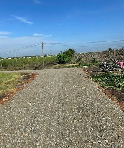 Đất thổ cư Thạnh Tân 150m² giá 200 triệu - Đầu tư sinh lời ngay!