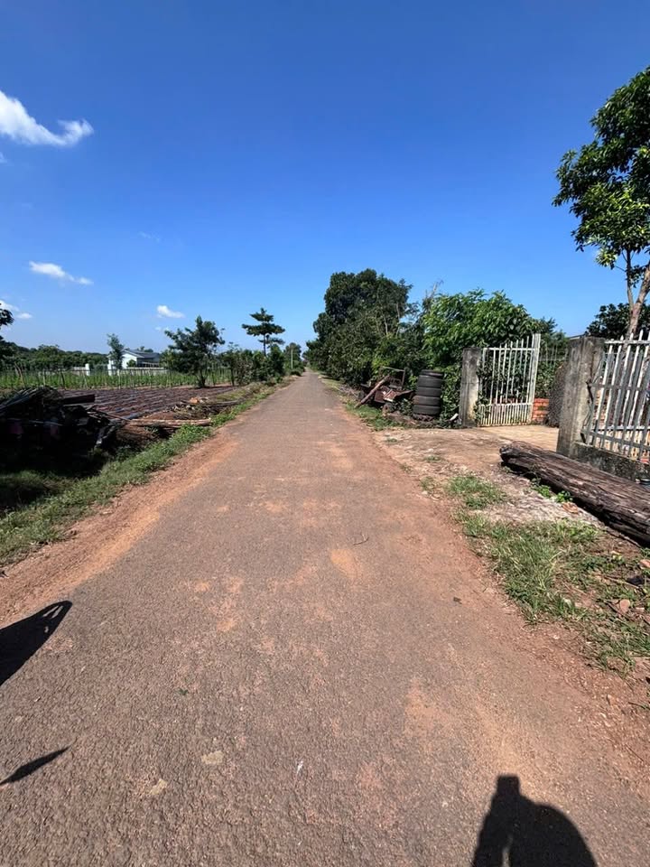 Đất thổ cư Cư Êbur 270m² giá 799 triệu - Đường nhựa thuận lợi!