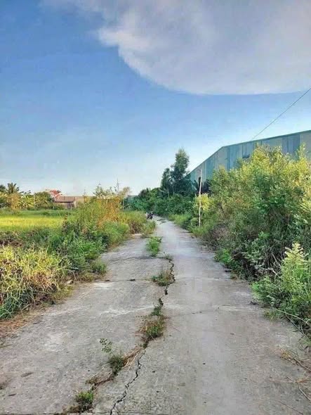 Đất thổ cư hẻm tỉnh lộ 833, phường 5, Tân An, 135m² - Giá chỉ 770 triệu!