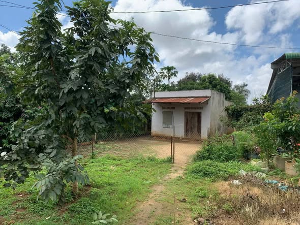 Đất thổ cư 100m² tại Quảng Lập, Đơn Dương, Lâm Đồng - Giá chỉ 2.9 tỷ