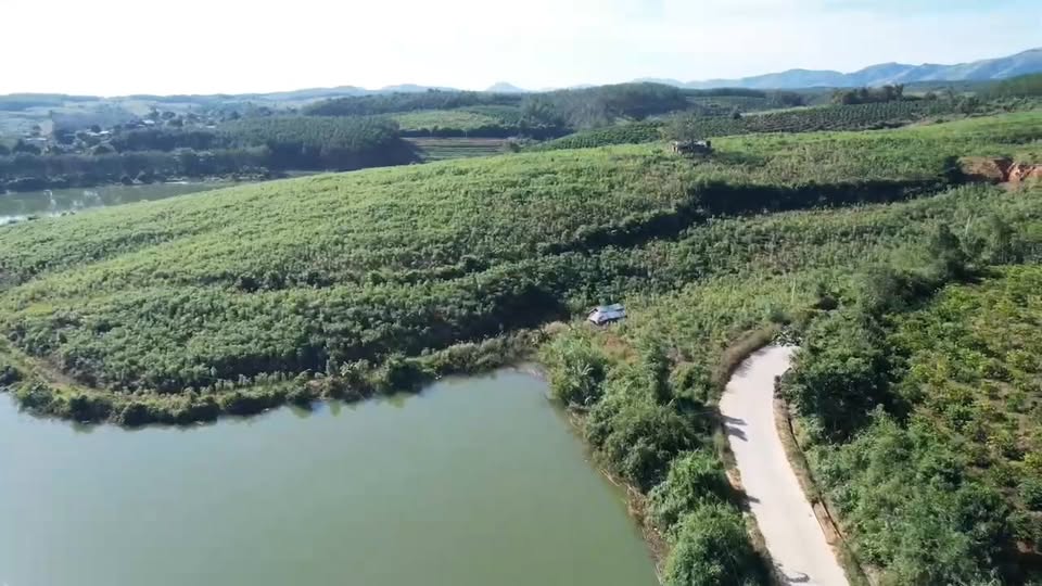 Đất rẫy đẹp tại Đăk Tô, Quảng Ngãi 6ha giá chỉ 5 tỷ - Cơ hội đầu tư tuyệt vời!