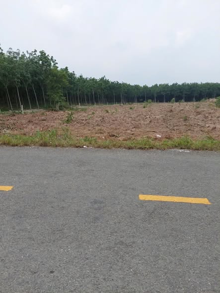 Đất mặt tiền đường nhựa Đất Cuốc 3600m² giá 11.52 tỷ - Đầu tư sinh lời ngay!