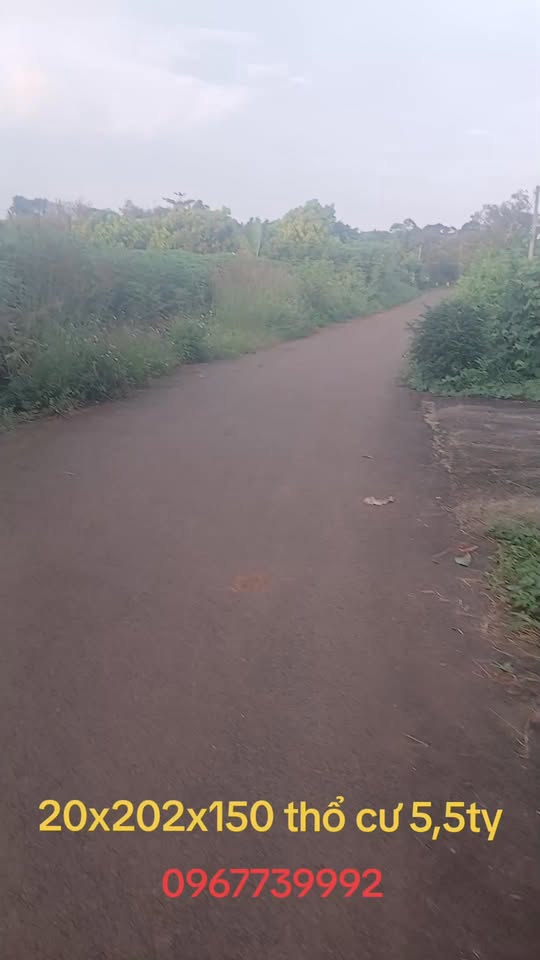 Đất nền Láng Lớn, Châu Đức 4300m² giá chỉ 5.5 tỷ - Phù hợp nghỉ dưỡng!