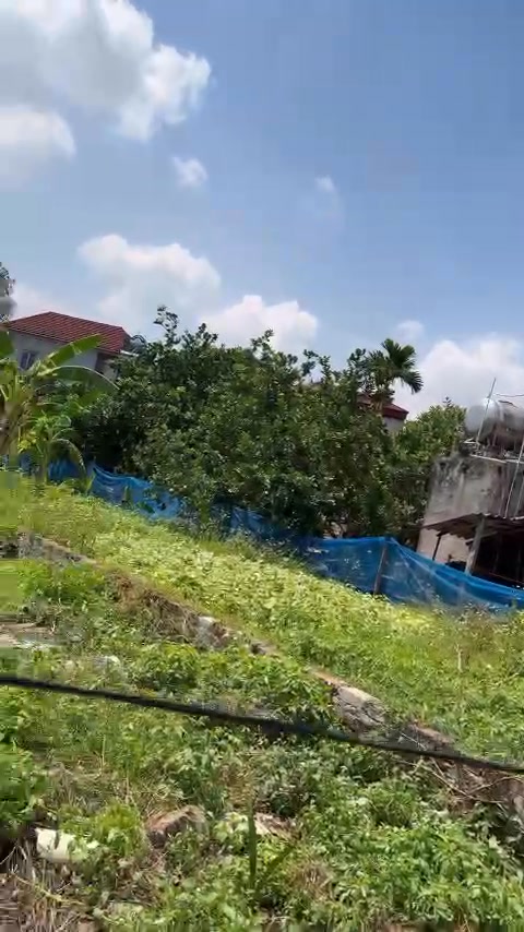 Đất nền tại Trung Mỹ, Bình Xuyên, 166m² - Cơ hội đầu tư sinh lời!