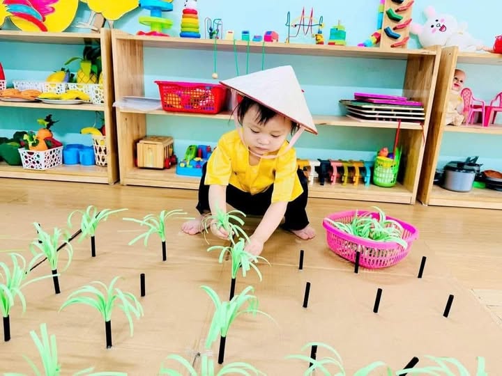 Đất nền biệt thự Quỳnh Hồng 300m² - Giá thỏa thuận hấp dẫn!