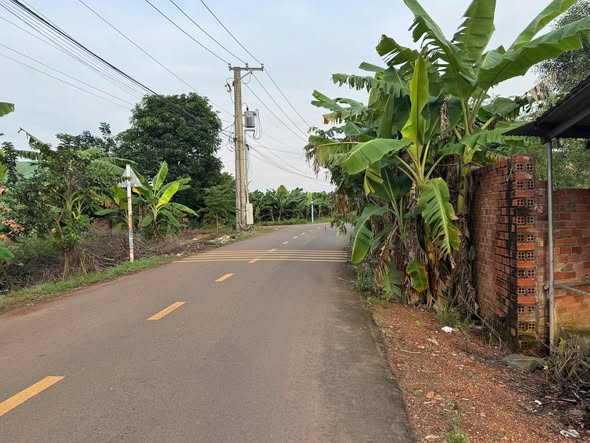 Nhà mặt tiền đường nhựa ấp 6, xã Trảng Bom 722m² giá 1.9 tỷ - Kinh doanh thuận lợi!