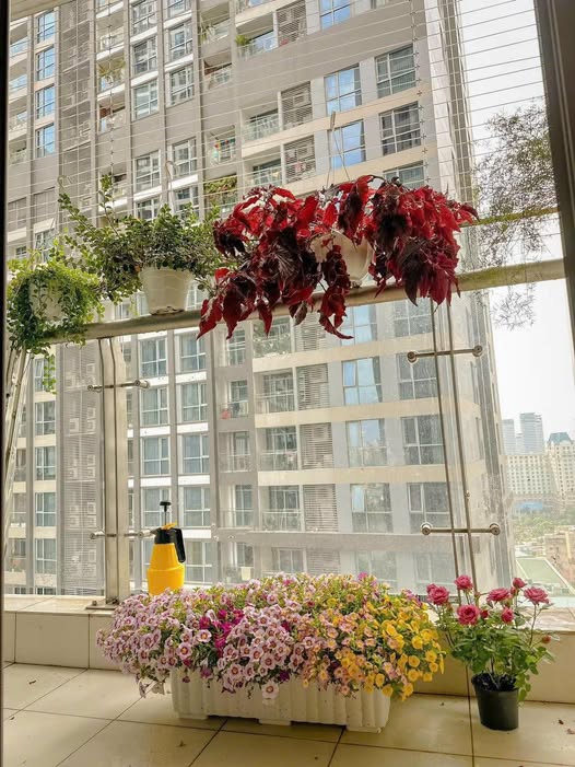 Căn hộ Park 3 Bình Thạnh 90m² giá 11.1 tỷ - Full nội thất đẹp, sẵn sàng vào ở!