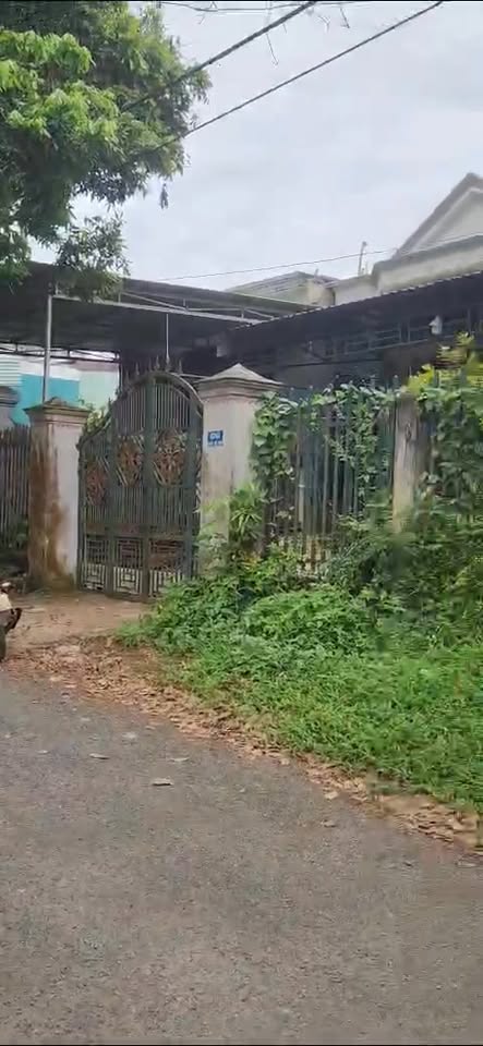 Đất nền mặt tiền Đường Nguyễn Viết Xuân, Chư Sê, 100m² - Giá chỉ 225 triệu!