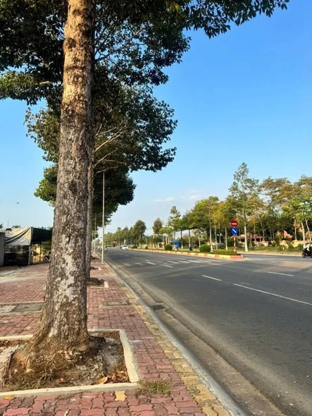 Nhà thổ cư 200m² mặt tiền đường Hùng Vương, Bà Rịa - giá 6 tỷ - Đầu tư sinh lời!