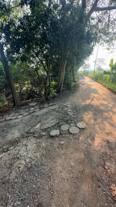 Farm thôn 2, xã Canh Nậu, 360m² - Giá siêu mềm, sẵn sàng cho nghỉ dưỡng!