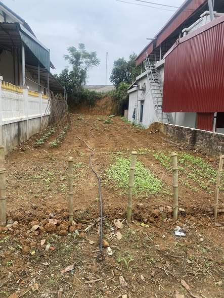 Đất thổ cư Tu Vũ 156m² giá 700 triệu - Ô tô tránh nhau, đường rộng đẹp!