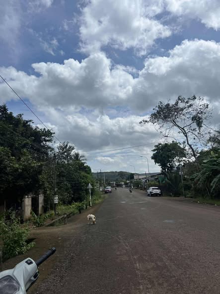 Đất mặt tiền đường Lý Thái Tổ, Phước Long 36400m² giá 1.35 tỷ - Đầu tư sinh lời ngay!