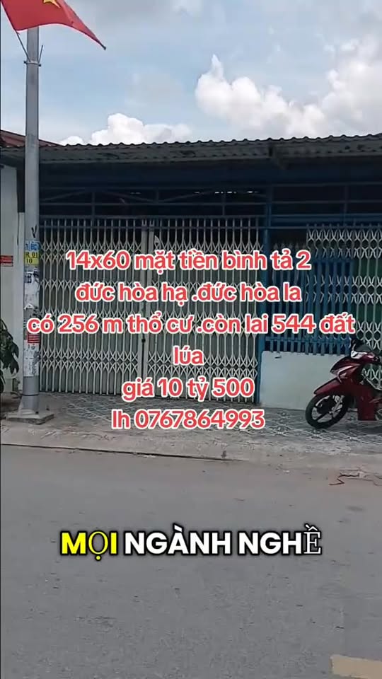 Đất mặt tiền Ấp Bình Tả 2, Đức Hòa Hạ 800m² - Kinh doanh lý tưởng!
