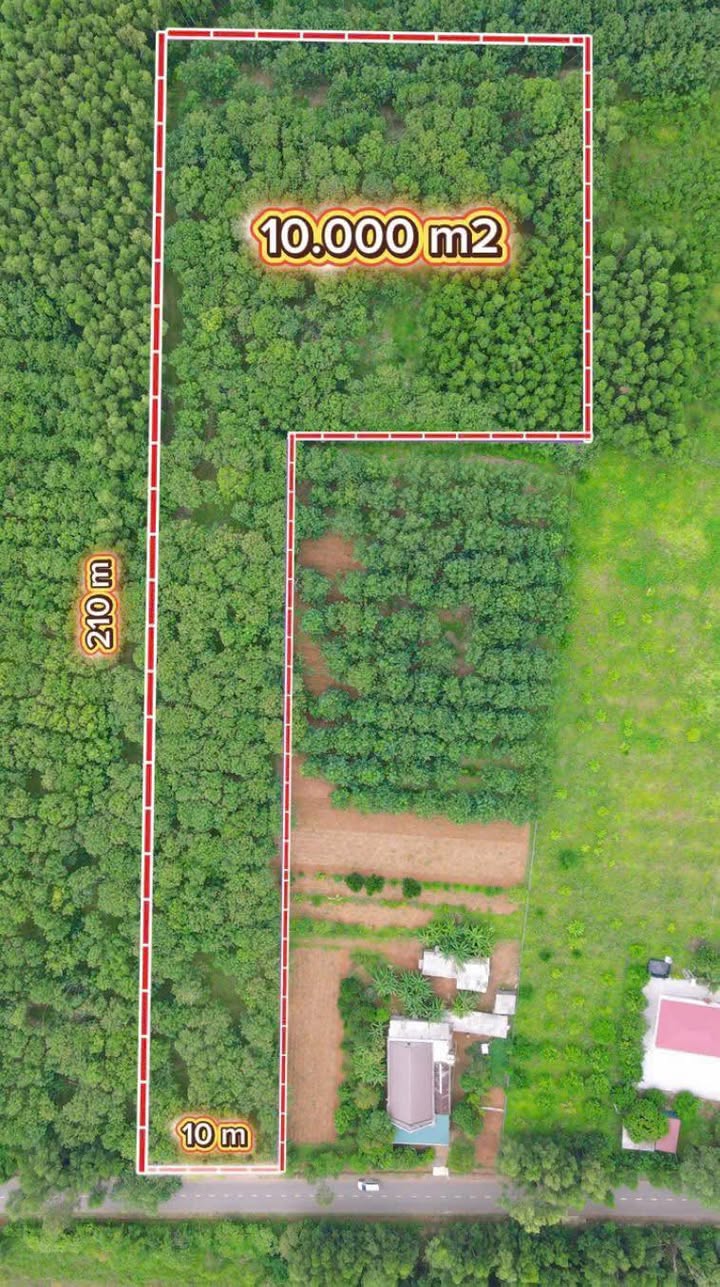 Đất mặt tiền Quốc lộ 9D, Cửa Tùng, 10.000m² - Cơ hội đầu tư hiếm có!