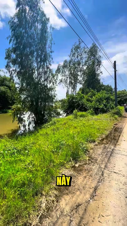 Đất nông nghiệp 5 công Thới Xuân - Cờ Đỏ 1.175 tỷ - Cách chợ chưa tới 3km!