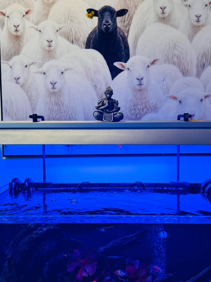 Căn hộ 4 tầng tại Phần Lăng, Thanh Khê 81m² giá 7 tỷ - Thu nhập 35 triệu/tháng!