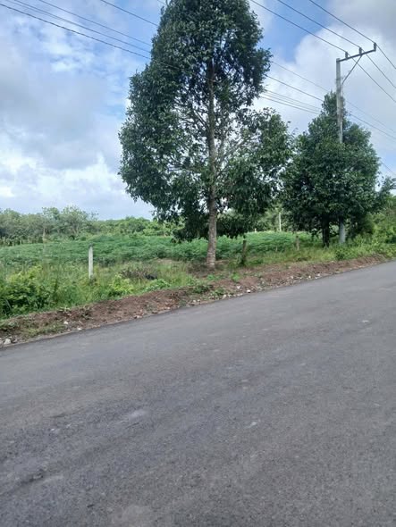 Đất thổ cư Phú Giáo Bình Dương 400m² giá chỉ 700 triệu - Đầu tư tuyệt vời!