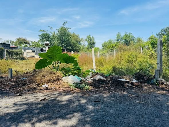 Đất nền Xóm Ruộng, Trí Bình, Châu Thành 150m² chỉ 339 triệu - Cơ hội đầu tư tuyệt vời!