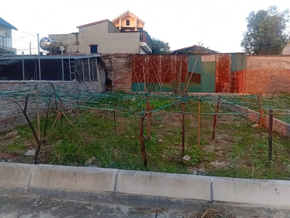 Đất thổ cư Hoàng Dương, Mai Đình, Sóc Sơn 96,6m² giá 4 tỷ - Đường thông thoáng, gần KCN