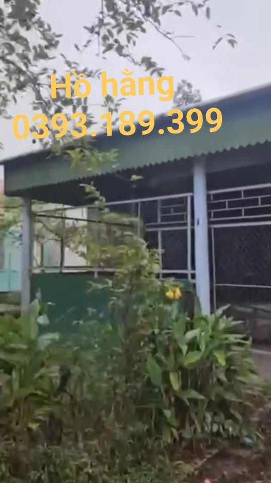 Đất nền Thọ Điền, Vũ Quang, Hà Tĩnh 600m² - Đầu tư sinh lời hấp dẫn!