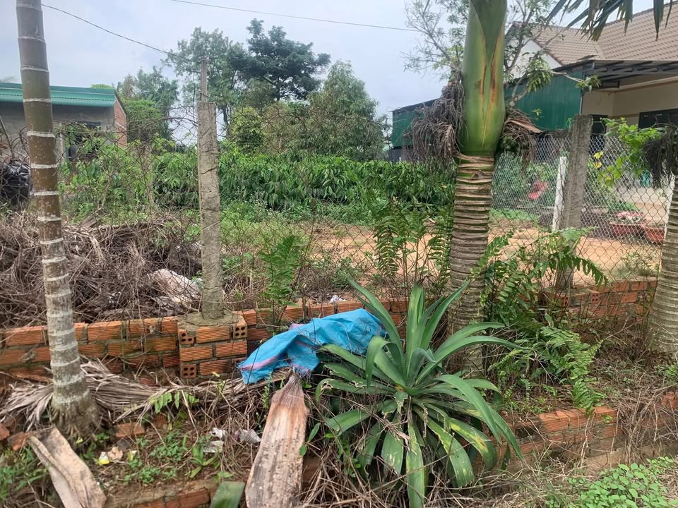 Đất nền Hòa An 570m² giá 1.65 tỷ - Sổ đỏ chính chủ, gần thị trấn Phước An!