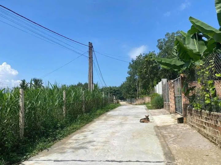 Đất thổ cư 200m² tại thôn Konhring, xã Đăkbla, TP Kon Tum - Giá chỉ 800 triệu!